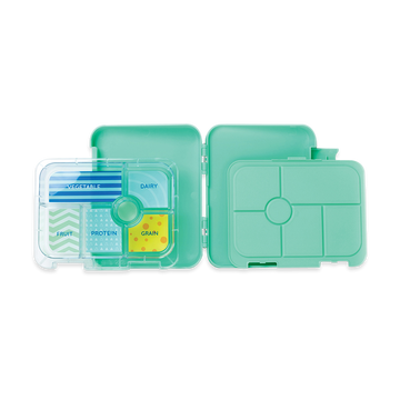 Large Bento Box — Dino Rock