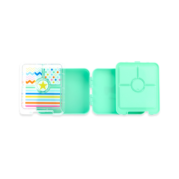 Medium Bento + Stainless Steel Drink Bottle Pack - Dino Rock